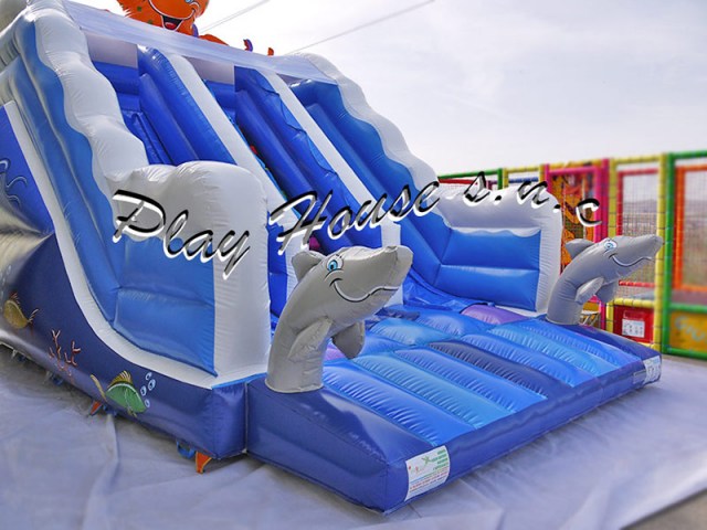 doppio-scivolo-gonfiabile-acquario-(6)